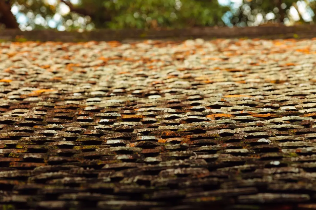 Aging shingle roof with moss growth and granule loss in Santa Clarita, CA